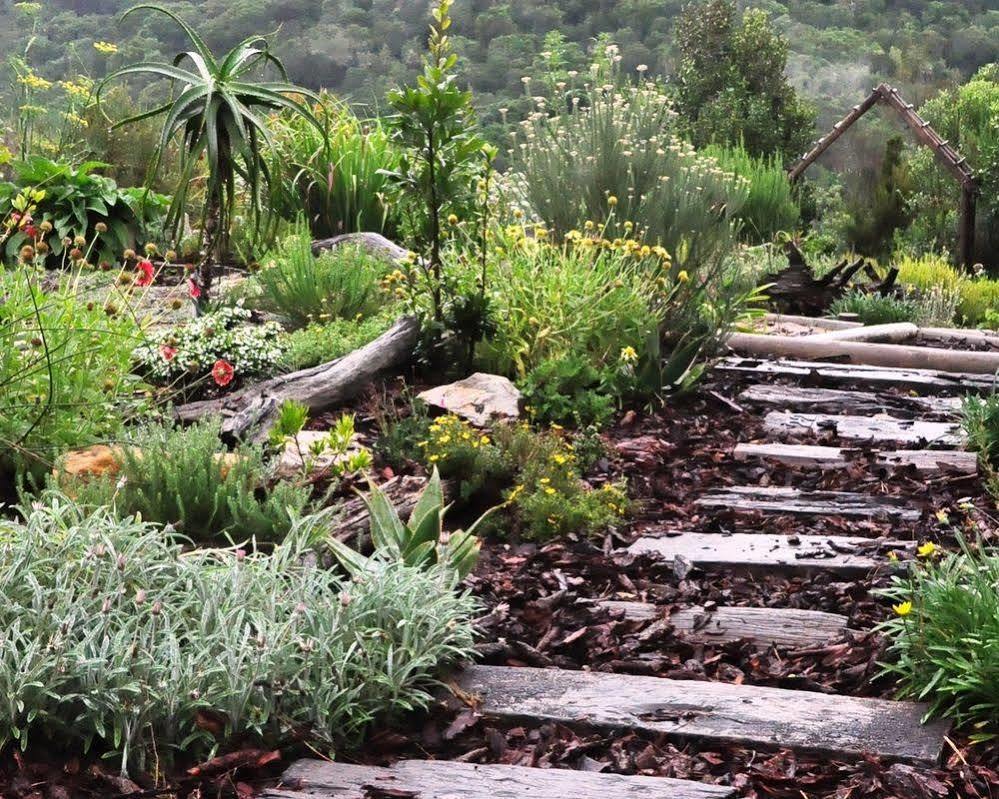 Woodlands Self Catering Otel Knysna Dış mekan fotoğraf