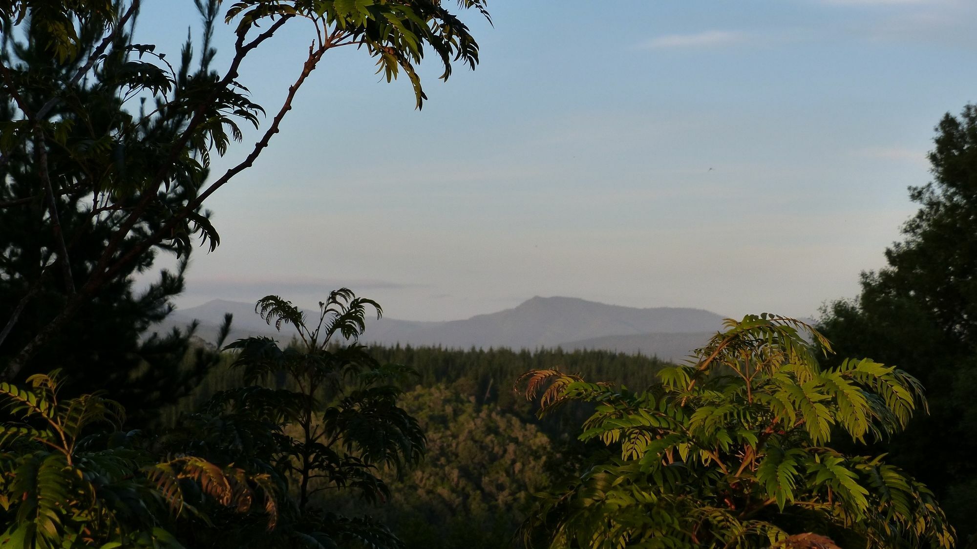 Woodlands Self Catering Otel Knysna Dış mekan fotoğraf